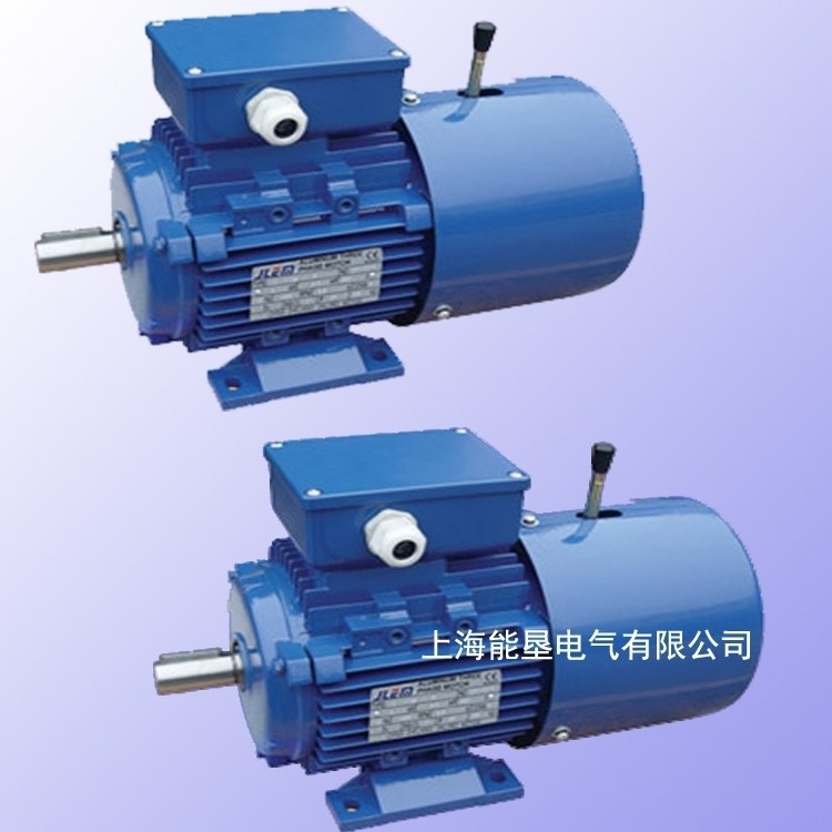 杭州变频制动三相异步电机 YVFEJ100L2-4 3KW