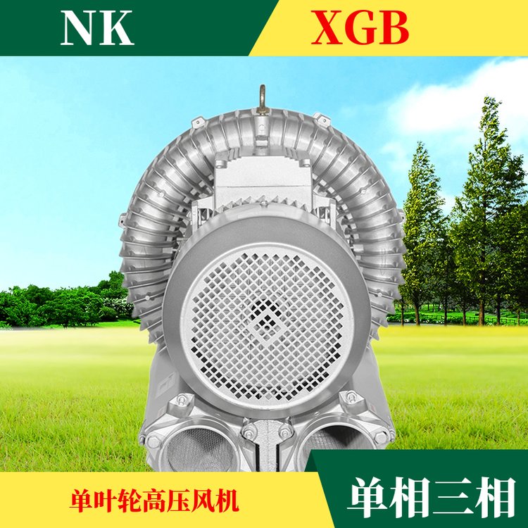 大功率小型真空泵增氧泵工业漩涡双叶轮罗茨鼓风机XGB-750-0.75KW
